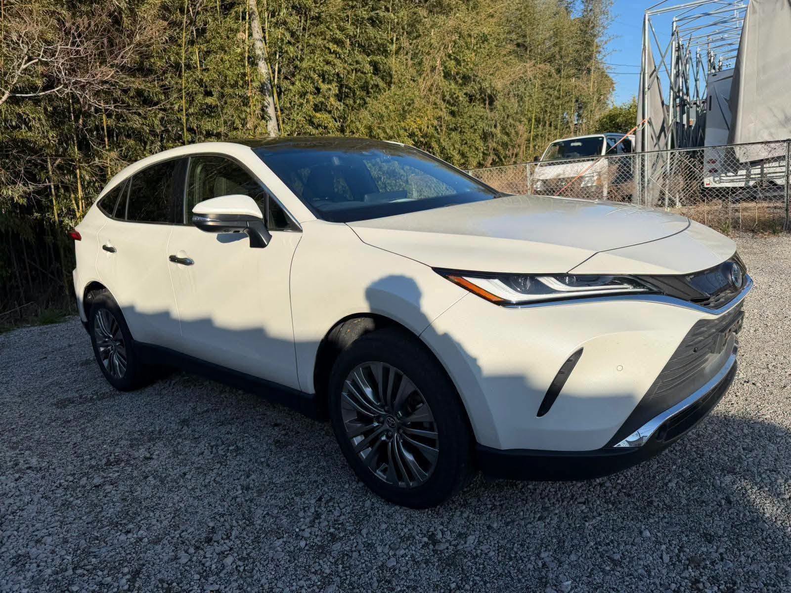 Toyota-Harrier (AXUH80, 2500cc, Automatic, FWD, Octane)