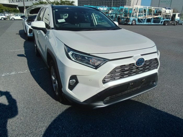 Toyota-RAV4 (AXAH54, 2500cc, Automatic, FWD, Octane)